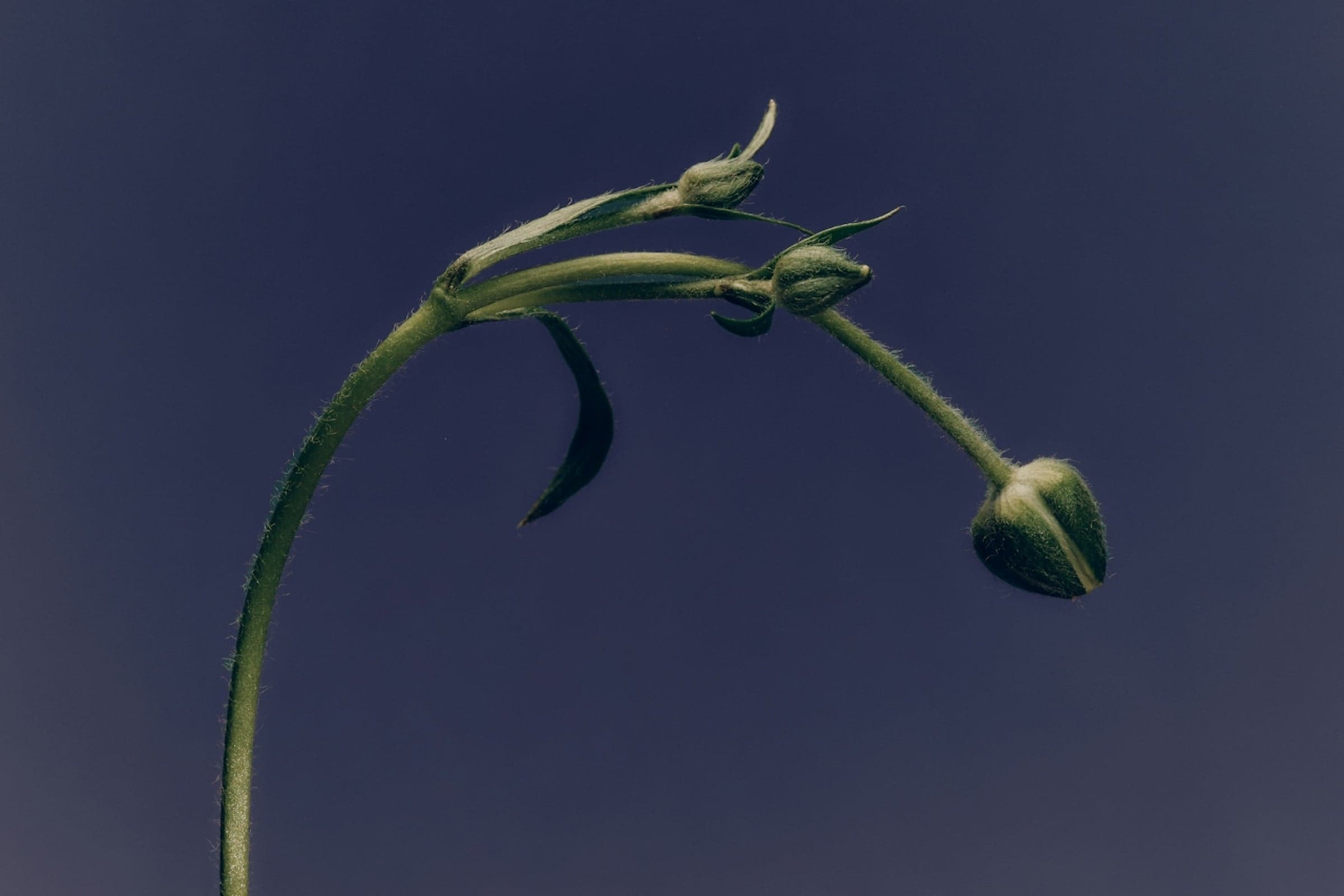 Is Your Mind Standing In The Way Of Your Flexibility?