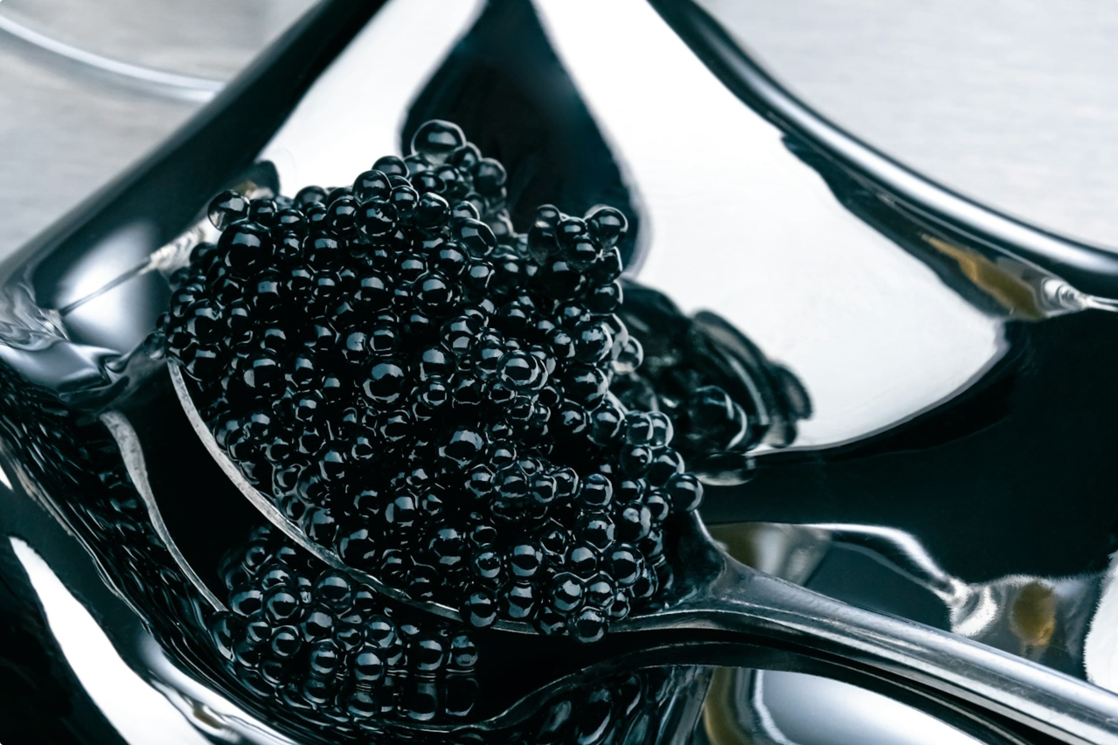 caviar on spoon