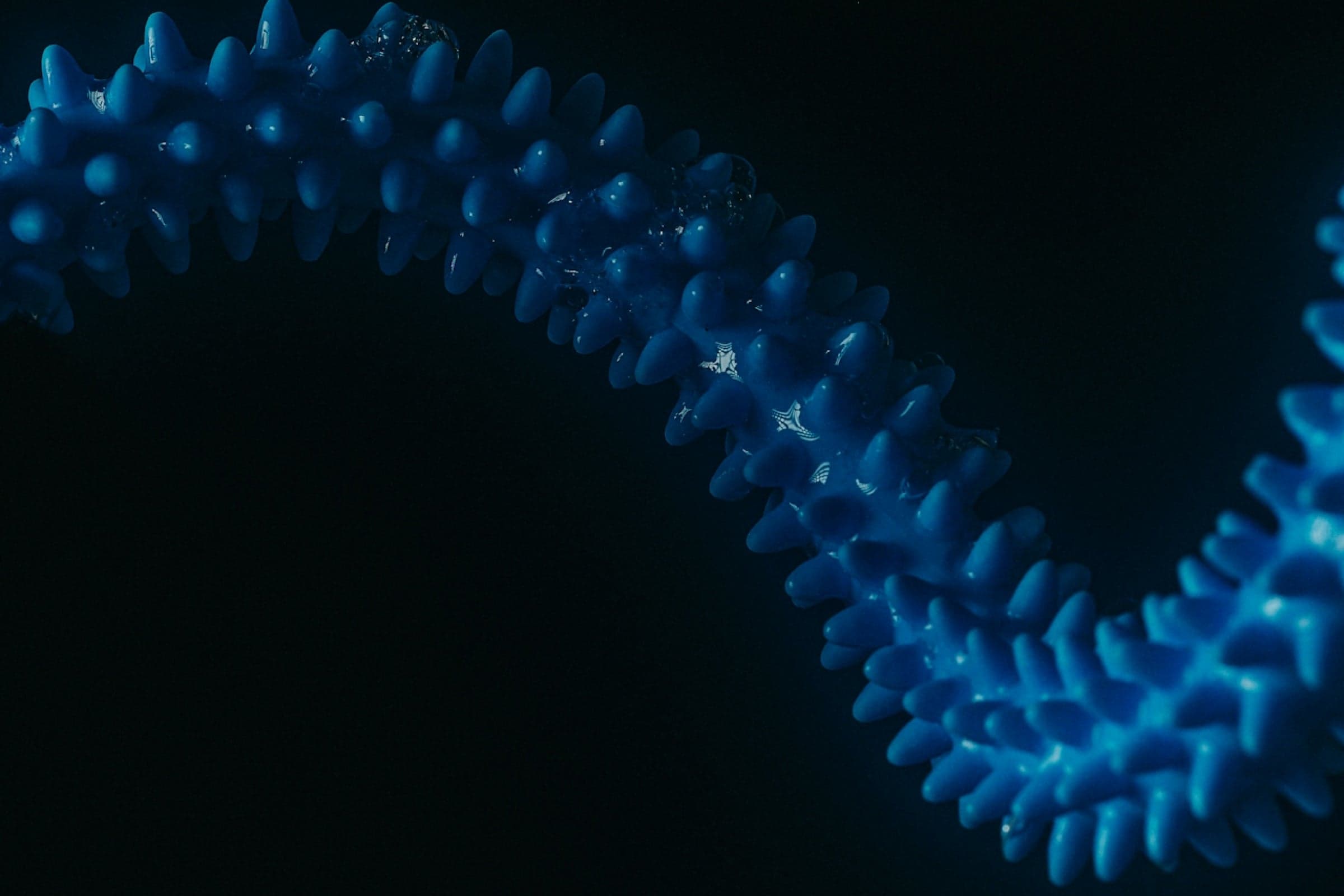 Are Digestive Enzymes The Missing Link In Your Gut Routine?